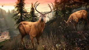 10ss_f4a6f63b4f7cb42262152449ba5e5c5837f20ff4.1920×1080