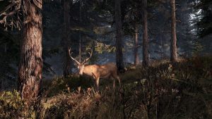 7ss_5c88624b928745cb053b6b1cfedd0f3a0c10c778.1920×1080